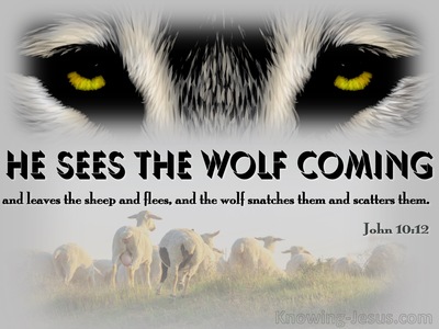 John 10:12 He Sees The Wolf Coming (black)